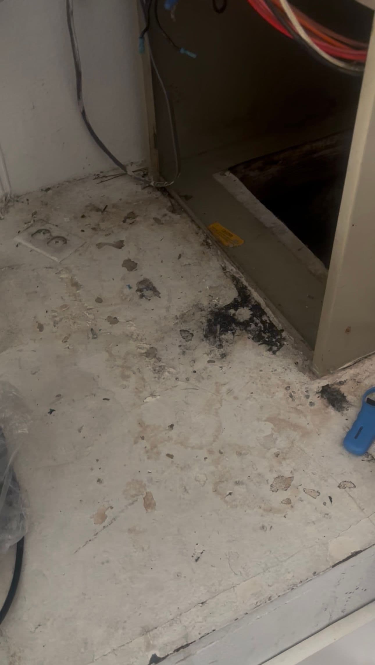 Project Prevent Mold with Regular HVAC Maintenance image